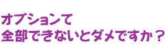 オプションって全部できないとダメですか？